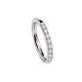 Sparkling Crystal Silver