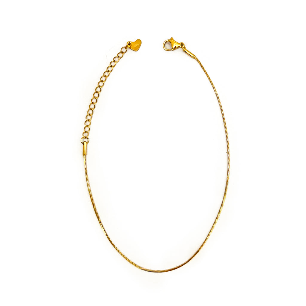 Sleek thin anklets (Pair)